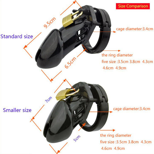 Male Chastity Device Cock Cage Chaste Bird Small/Standard with 5 Size Rings Brass Lock Locking Number Tags Erotic Sex Toy for Ad