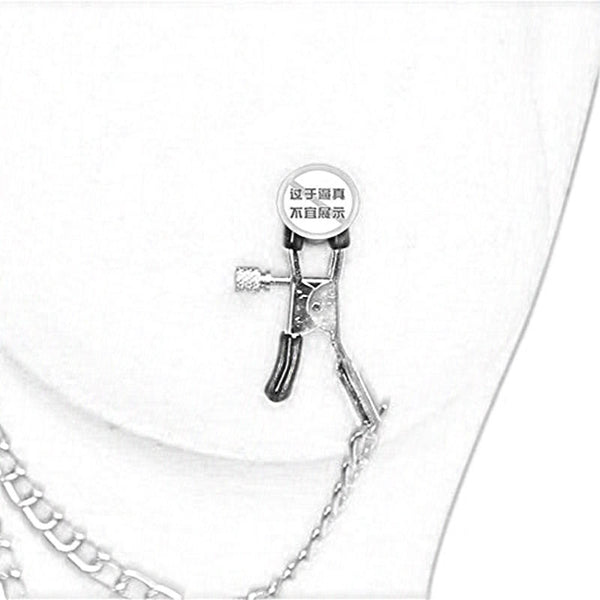 Stainless Steel Labia Clitoris Nipple Clamps With Vagina Clamps Metal Chain BDSM Bondage Restraint Sex Toys For Woman Couples